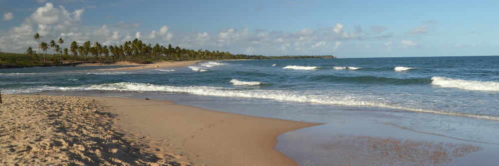 Salvador Bahia Beaches Praia do Forte
