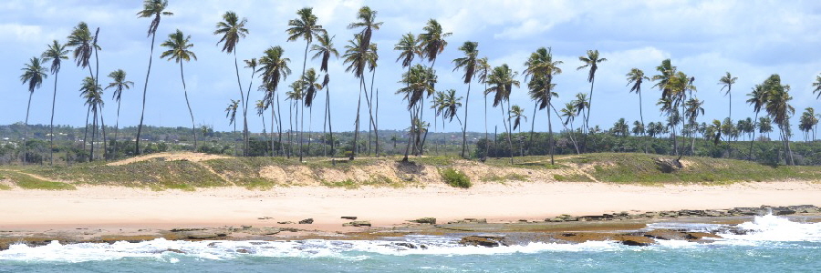 Salvador Bahia Beaches Arembepe
