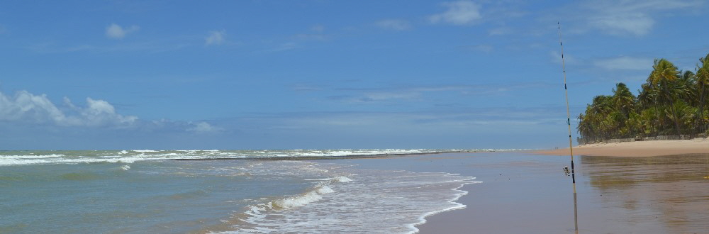 Bahia Vacation Day Tours: passeios e excurs�es na costa de Camacari e Salvador da Bahia